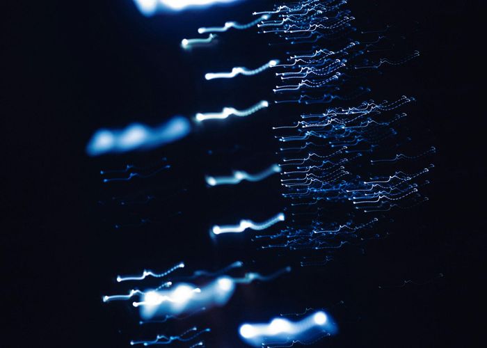 Abstract glowing lines representing flow of attention and energy